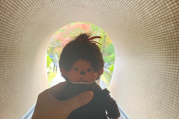 弥彦公園のトンネル