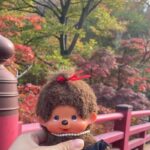 弥彦公園の紅葉と赤い橋