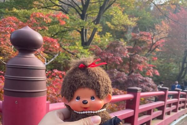 弥彦公園の紅葉と赤い橋